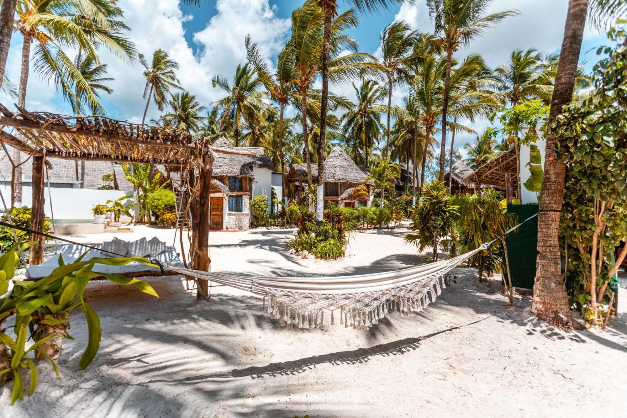 Maisha Matamu Beach Hotel Paje Εξωτερικό φωτογραφία