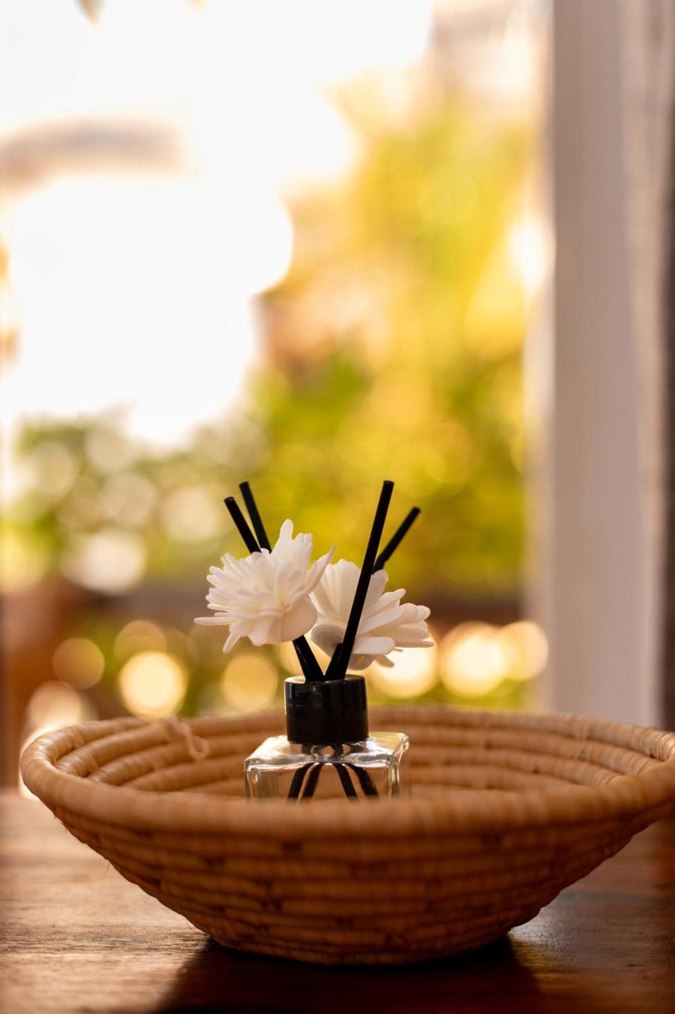 Maisha Matamu Beach Hotel Paje Εξωτερικό φωτογραφία
